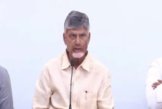 AP CM Chandrababu On Fire Accidents