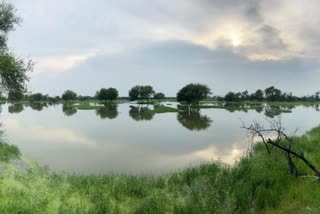 BHARATPUR RAINFALL REPORT