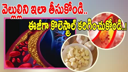 Best Food For Reduce Cholesterol