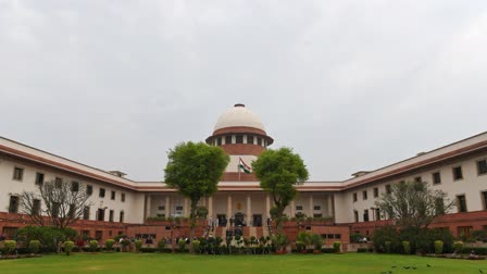 The Supreme Court on Thursday shot a volley of questions to the West Bengal government regarding sequence, timing of legal formalities conducted by police in registration of unnatural death, and the postmortem, in the brutal rape and murder of a trainee doctor in Kolkata.  A three-judge bench led by Chief Justice of India D Y Chandrachud and comprising justices J B Pardiwala and Manoj Misra said the general diary (GD) entry is at 10:10 AM, which recorded that the information was received over the telephone that a trainee was found lying unconscious in the seminar room of the hospital. Solicitor General Tushar Mehta, representing the CBI, said the doctors are saying she was unconscious though she was already dead.