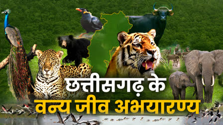 Wildlife Sanctuaries of Chhattisgarh