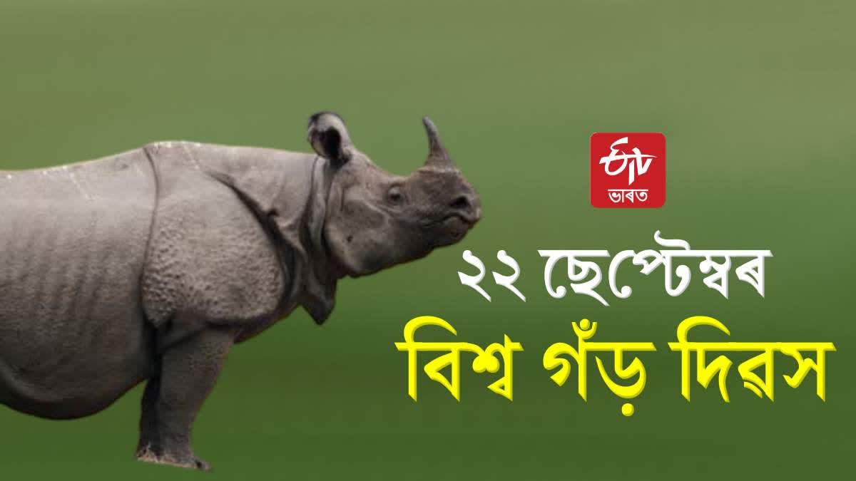 World Rhino Day 2023