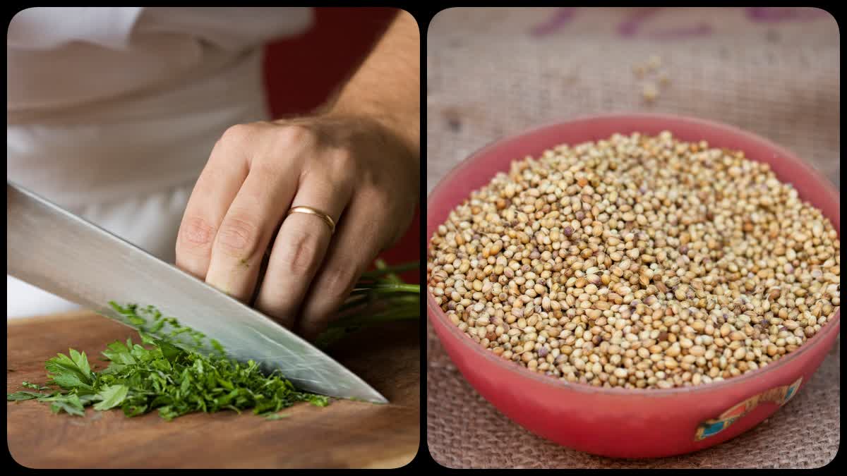 Coriander Water For Health