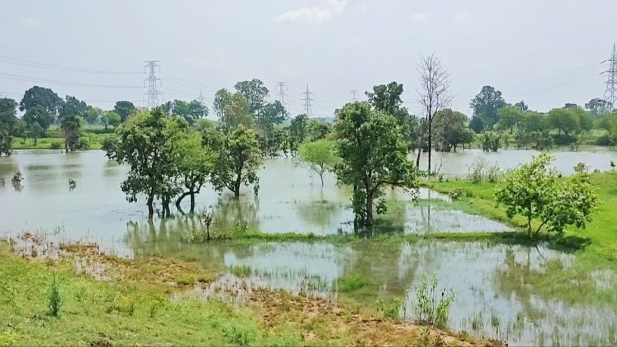 Farmers upset due to negligence of railways