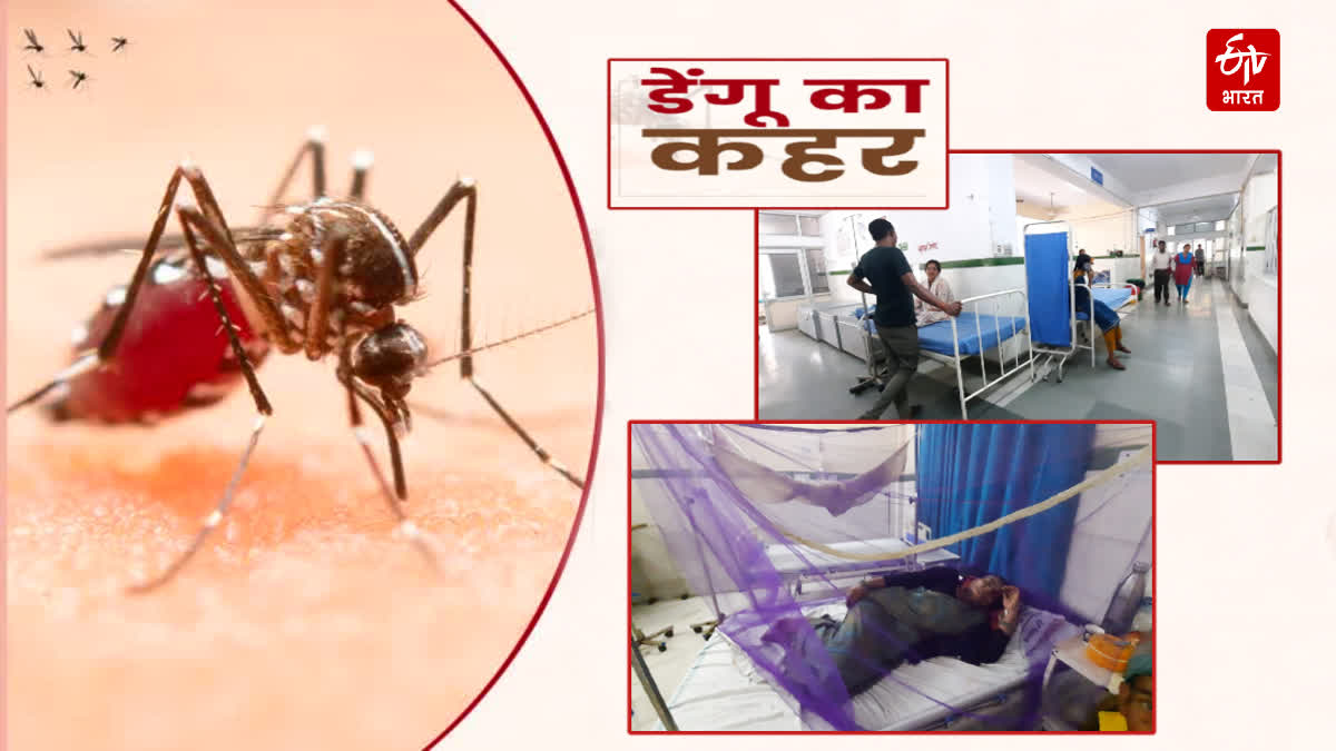 Dengue Cases Increased in Bageshwar