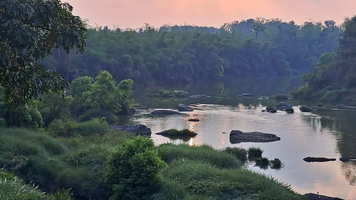 shade-of-draught-in-kodagu-where-cauvery-originates