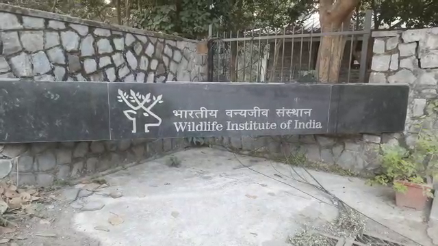 Wildlife Institute of Indi