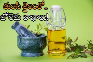 How To Make Tulasi Oil In Telugu