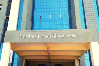 not-a-single-case-of-suspected-or-probable-dengue-in-junagadh-city-or-the-entire-district-recorded-in-government-register