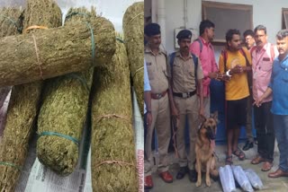 Railway Sniffer Dog Detected Ganja Smuggled  Railway Sniffer Dog Detected Ganja  Ganja Smuggled At Train In Thrissur  Railway Sniffer Dog Detected  Ganja Smuggled case In Thrissur  ട്രെയിനിൽ കടത്തിയ കഞ്ചാവ്‌ മണത്തു കണ്ടുപിടിച്ചു  കഞ്ചാവ്‌ മണത്തു കണ്ടുപിടിച്ച് റെയിൽവേ സ്‌നിഫർ ഡോഗ്  റെയിൽവേ സ്‌നിഫർ ഡോഗ് കഞ്ചാവ്‌ മണത്തു കണ്ടുപിടിച്ചു  കേരള പൊലീസിന്‍റെ സ്‌നിഫർ ഡോഗ്  ബംഗാളില്‍ നിന്നും തൃശൂരിലേക്ക് കഞ്ചാവ് കടത്തി  തൃശൂരിൽ ട്രെയിനിൽ മൂന്നര കിലോ കഞ്ചാവ് പിടികൂടി