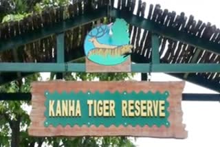 Kanha National Park Elephants Camp