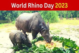 Etv BharatWORLD RHINO DAY 2023