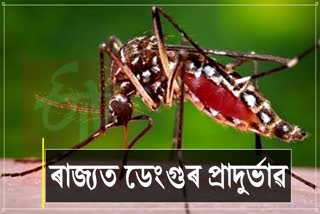 Dengue Outbreak in Assam