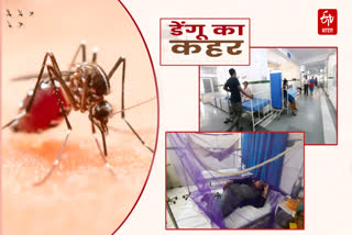 Dengue Cases Increased in Bageshwar
