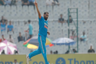 IND vs AUS, Fast Bowler Mohammed Shami