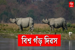 World Rhino Day 2023