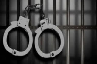 A foreign woman from Uzbekistan who was attempting to enter the Nepal side through the Indo-Nepal border checkpost in Bihar's Madhubani district was arrested on Thursday.
