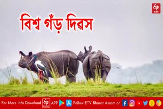 World Rhino day observed in assam