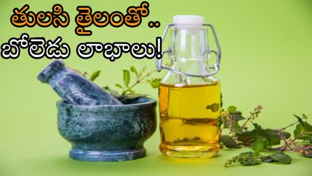 How To Make Tulasi Oil In Telugu