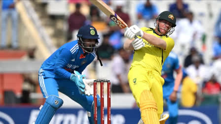 india vs australia 1st odi david warner scored half century in mohali