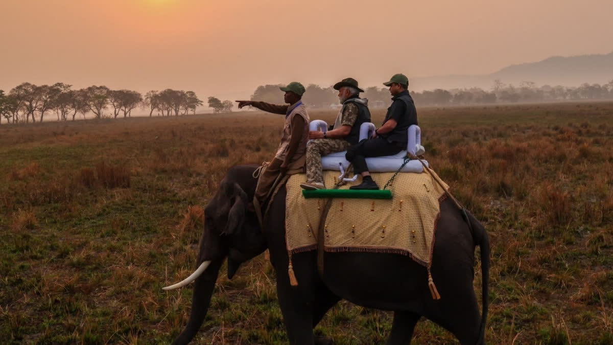 Prime Minister Narendra Modi, on the occasion of World Rhino Day today, reiterated India’s commitment to protect rhinos. Terming rhinos to be the planet’s 'most iconic species', he expressed his immense pride in India being home to a large number of one horned rhinos.