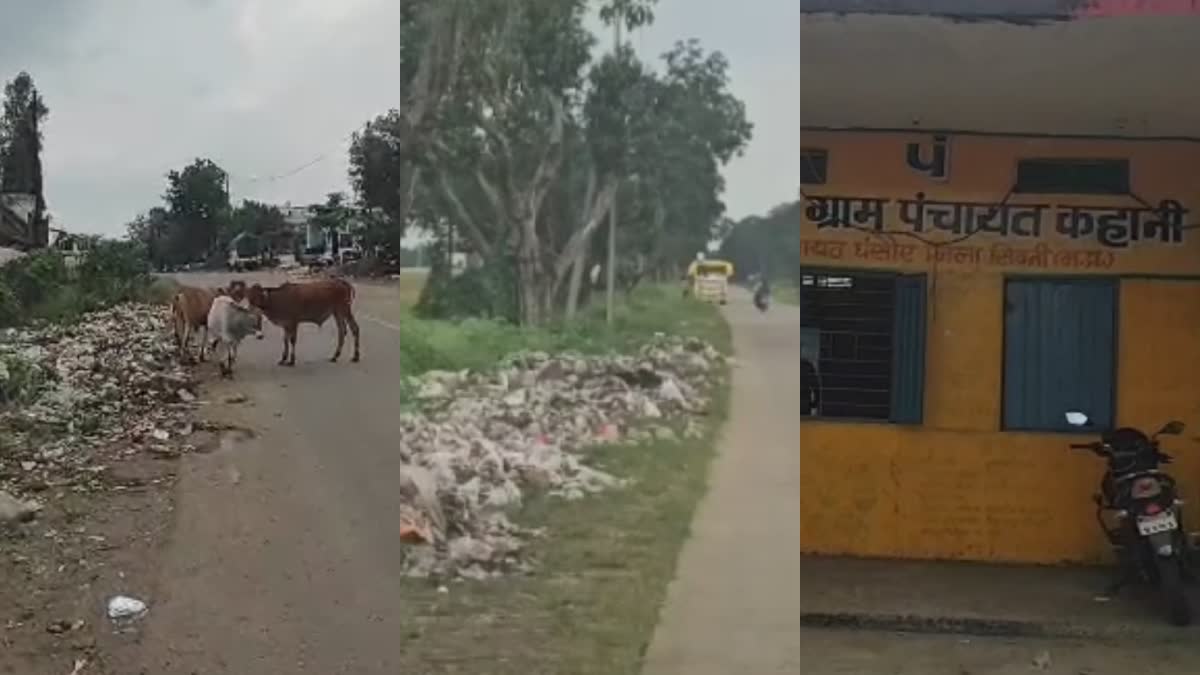 SEONI SWACHCHHTA PAKHWADA