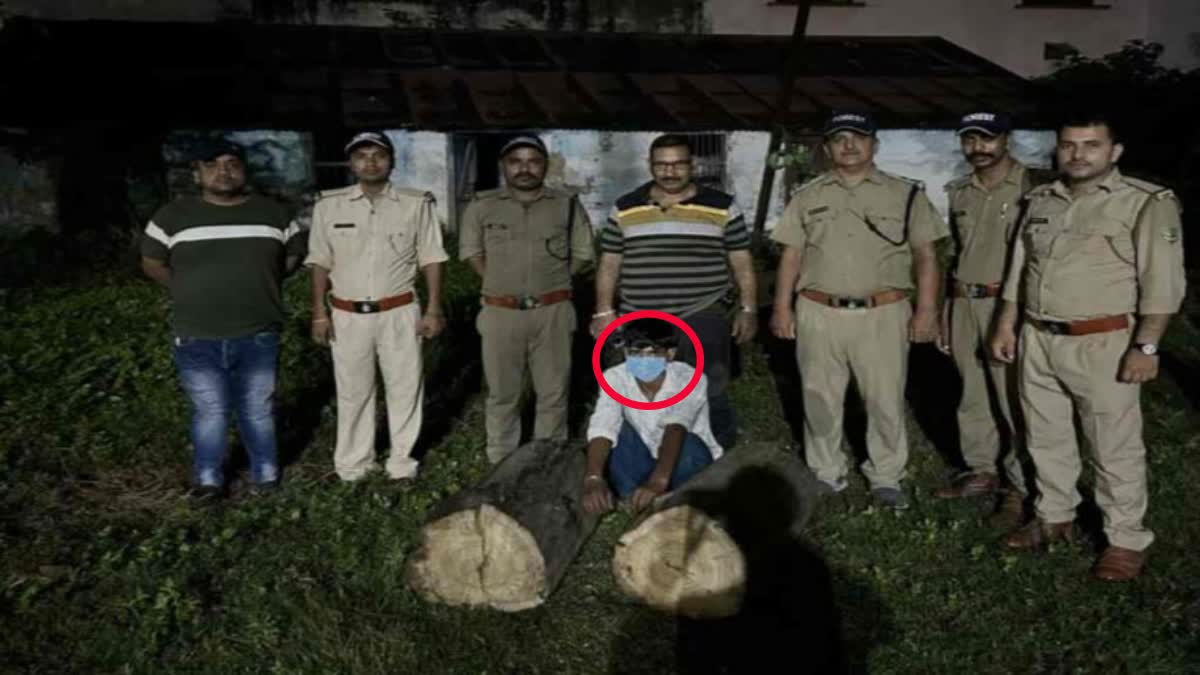 Haldwani forest smuggler arrested