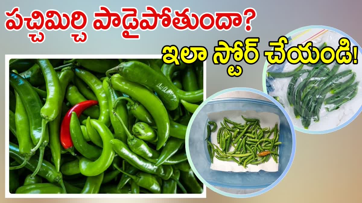 How to Keep Green Chillies Fresh