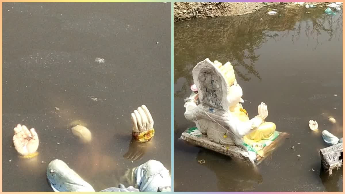 Idols are in a bad condition after Ganesh immersion