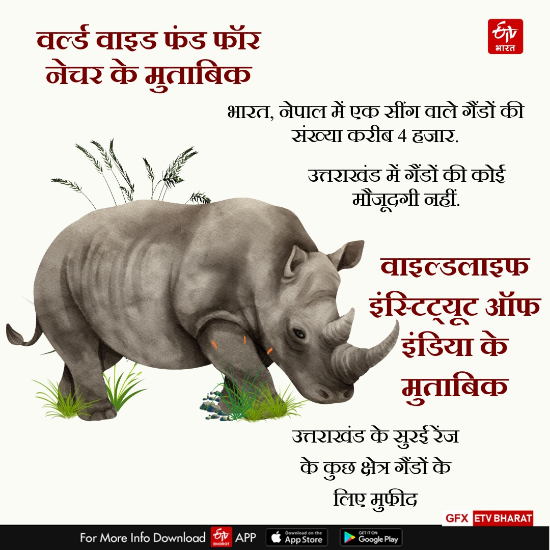 World Rhino Day