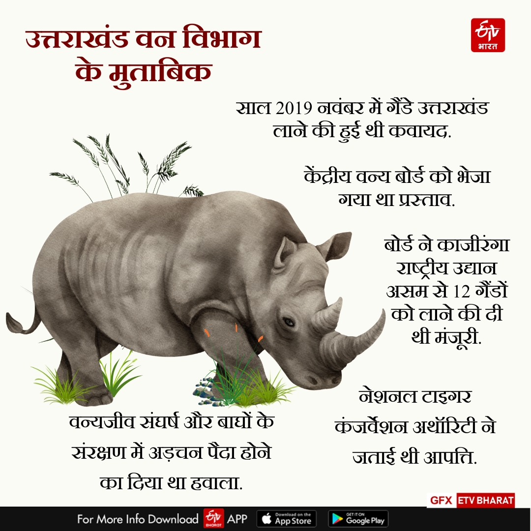 World Rhino Day