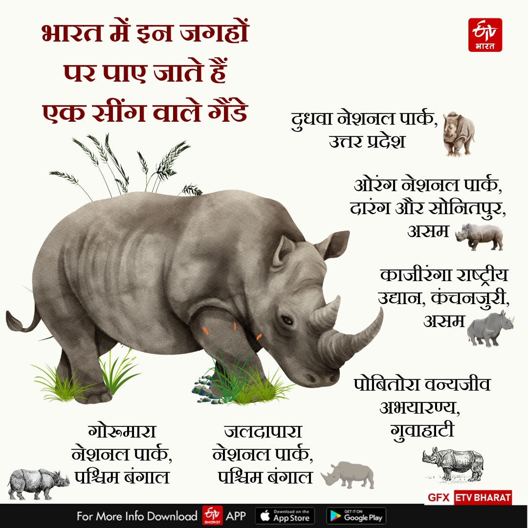 World Rhino Day