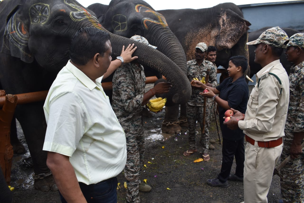 PANNA TIGER RESERVE ELEPHANT CAMP