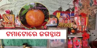 JAGANNATH IN TOMATO