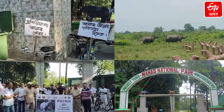 Awareness cycle rally at Manas National Park