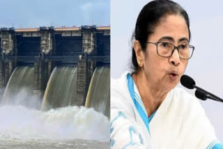 My Govt Not Consulted On Water Release By DVC, Mamata Writes To PM Modi