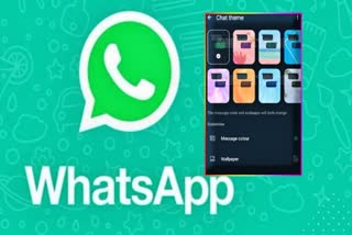 Whatsapp Theme Chat Feature