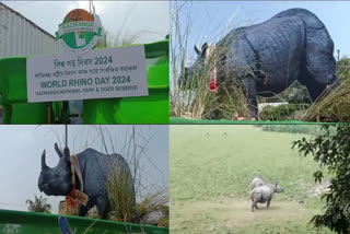 Kaziranga National Park