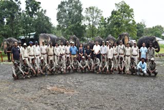 PANNA TIGER RESERVE ELEPHANT CAMP