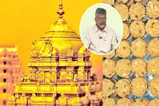 Shanti Homam in Tirumala