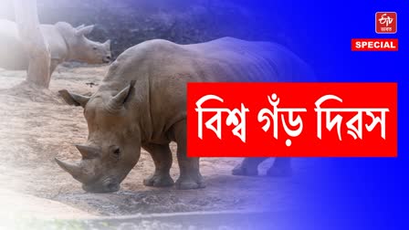 World Rhino Day