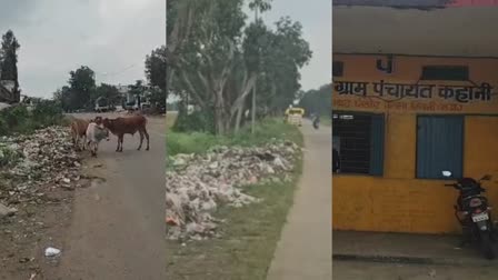 SEONI SWACHCHHTA PAKHWADA