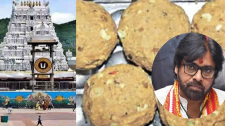 Tirupati Prasad controversy: Deputy Chief Minister Pawan Kalyan begins 11-day 'Prayashchit Deeksha'