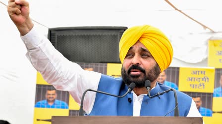 punjab cm bhagwant mann cabinet reshuffle