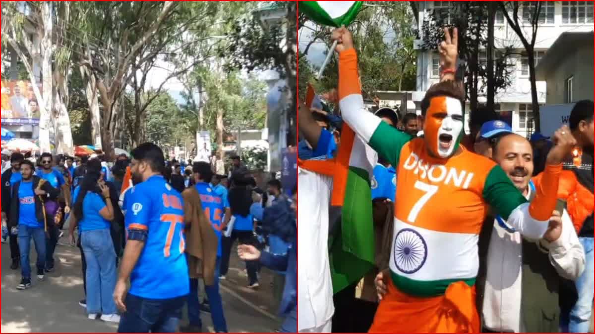 Crowd of cricket lovers during India New Zealand match