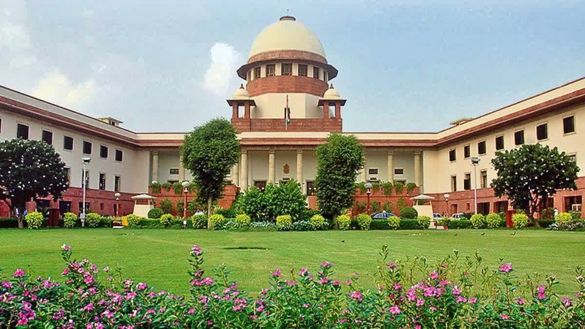 Supreme court