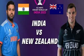 india newzealand