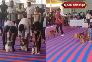 dog-show-by-raitha-dasara-sub-committee-in-mysore