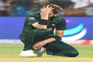 The Babar Azam-led Pakistan needs to perform collectively as a team to bounce back in the ongoing World Cup after a couple of consecutive losses. They'll next face Afghanistan on Monday at MA Chidambaram Stadium in Chennai.