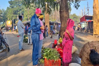 medicinal plants during Durga Puja